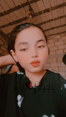 صورة من الصالون