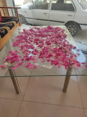 صورة من الصالون