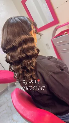 صورة من الصالون