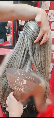 صورة من الصالون