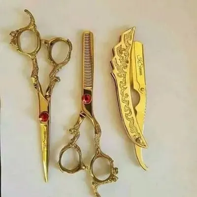 صورة من الصالون